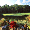 Fota
Island Golf